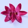 Bohemia Orchid Duckbill Clip Flower Korean Style Hairpins Sweet Simulation Flower Hair Clip  Daily