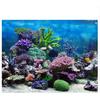 FILFEEL Aquarium Background Fish Decorations Pictures PVC Adhesive Poster Underwater Coral Backdrop Decoration Paper Cling Decals Sticker(61 * 41cm)