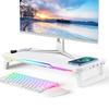 Schreibtisch-PC-Monitorständer Halterung Computerbildschirm Erhöhung Halter USB-HUB Mit RGB-Atmosphärenlampe Maus Tastatur Aufbewahrungs Organizer