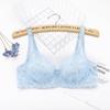 Europa und die Vereinigten Staaten Dünne Einschicht Sexy BH Volle Spitze Stahlring Cottonless BH Einstellbare Big Yards BH