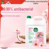 5L Disinfectant Hand Wash Refill