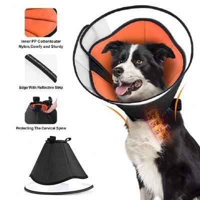 Köpek – Köpek bakım ürünleri