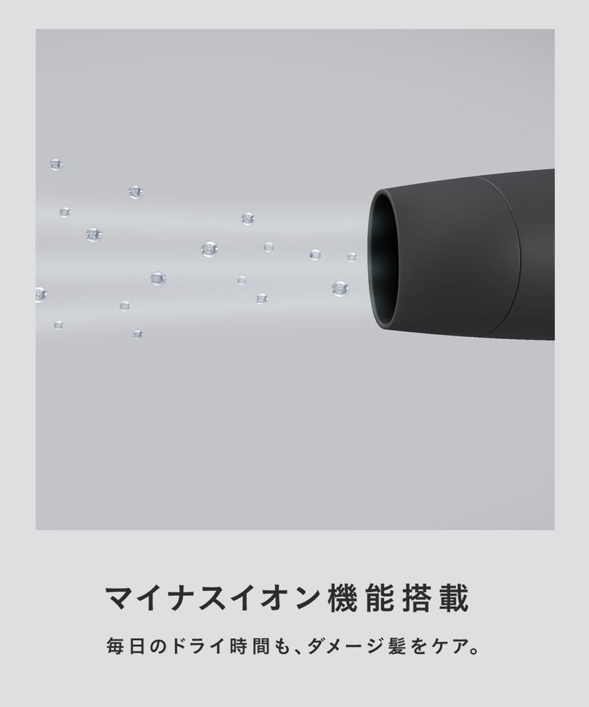 SALONIA Speedy Ion Hair Dryer Large Air Volume Quick Drying Lightweight Negative Ion Hair Dryer Black SL-013BK