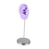 Part of The Body Silicone Ear Model, A Mannequin Earring