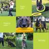 Indestructible Dog Ring Toys - Floating & Flying Chewing Training Tools for Small Medium Large Dogs - Fetch Throwing Catching