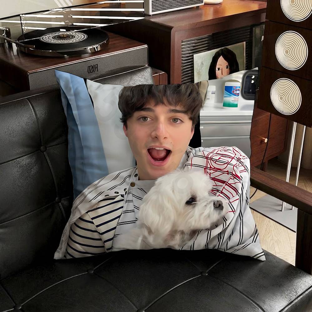NNoah Will SSchnapp Pillow Case Antidustmite Pillowcase Invisible zipper silky short plush Sofa cushion cover