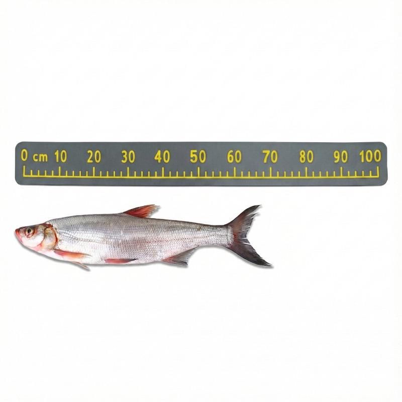 Dark Gray Theme 100cm EVA Foam Fish Measure Ruler Adhesive Tape for Fishing Boat Kayak Cooler Box Angling Ruler Tool Accessory 7
