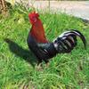 Dekoracja Kogut Realistyczna Życiowa Ozdobna Dwustronny Druk Akrylowy Statua Ogrodowa Kura na Podwórko