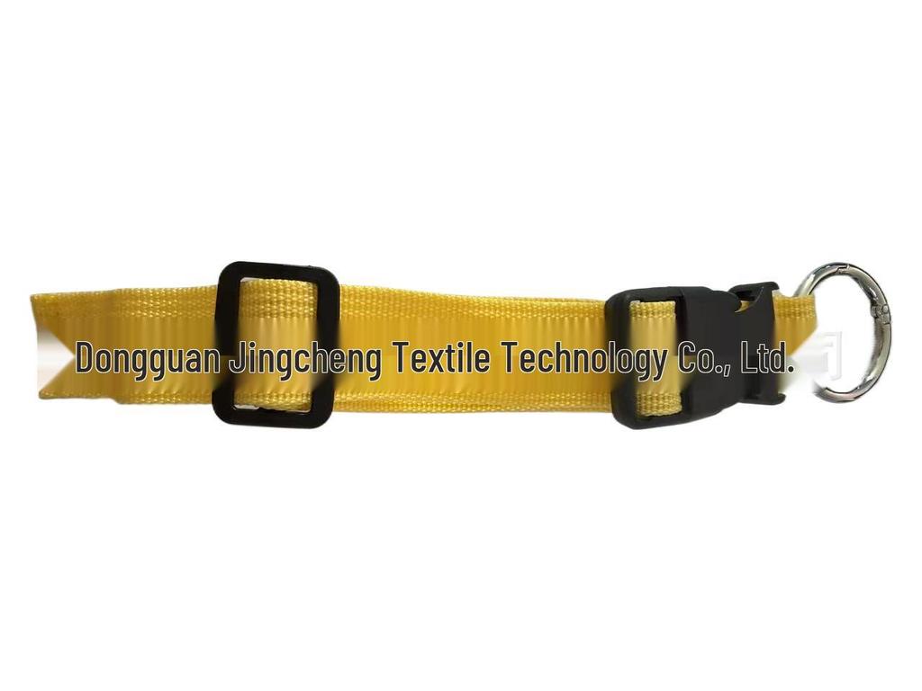 Tragbarer Rucksack Externe Befestigung: Kofferpackgurt mit Federring und Kunststoffschnalle