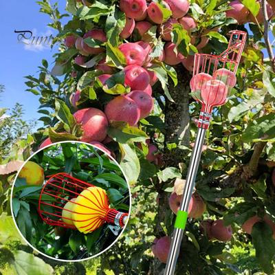 Nástroj na zber ovocia s nastaviteľnou špongiou s dlhou tyčou Odnímateľná veľká kapacita Jednoduchá inštalácia Persimmon Bayberry Collection Tool