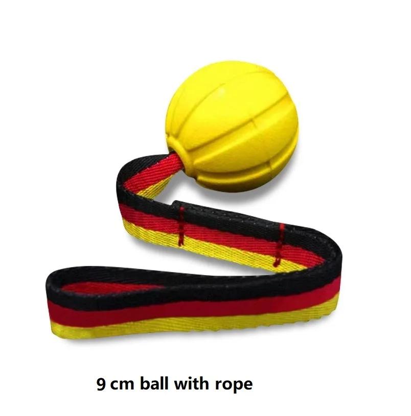 

Durable Dog Toy Balls on a Rope for Aggressive Chewers Interactive Fetch Training Toy for Small Medium Large Dogs Floating EVA XS