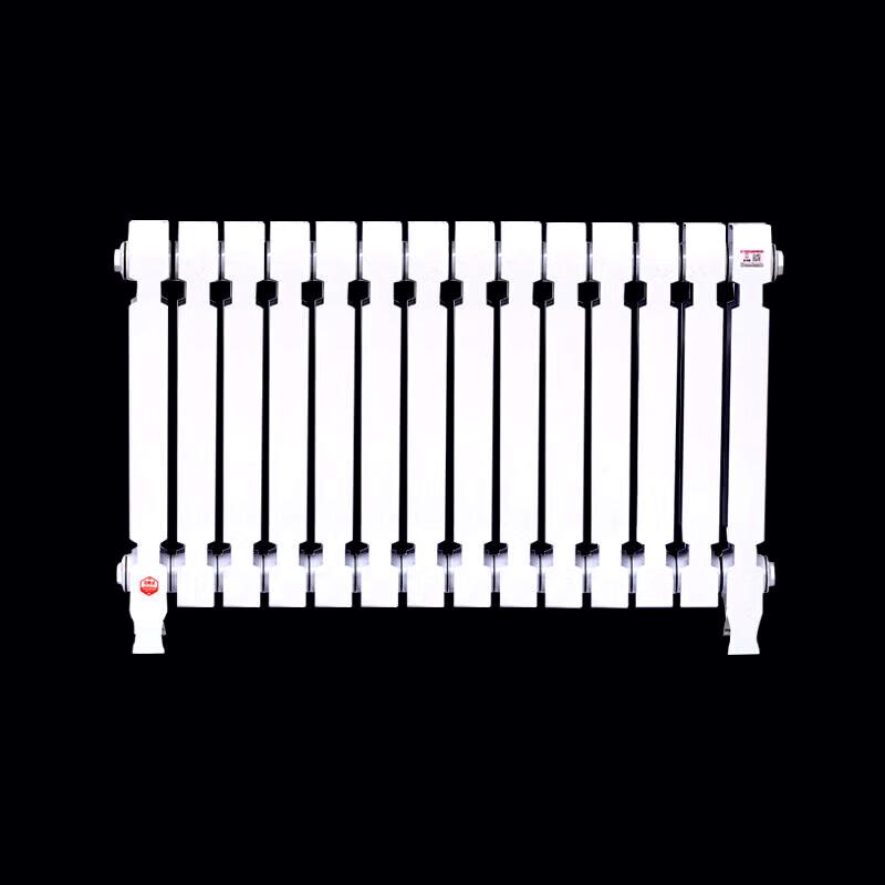 Lixing TZY2-6-8/62B Cast Iron Radiator