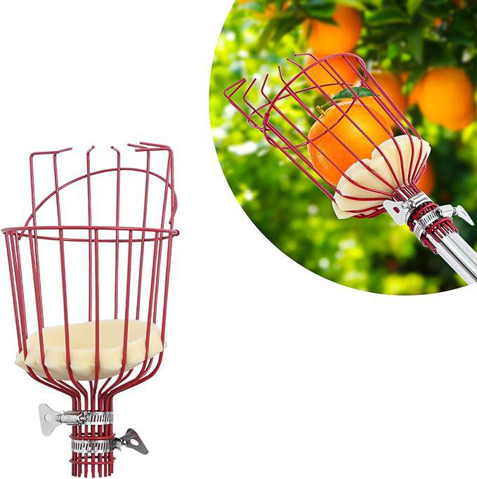 

Cage-Style Stainless Steel Fruit Picker for High-Altitude Persimmons, Mangoes, and More
