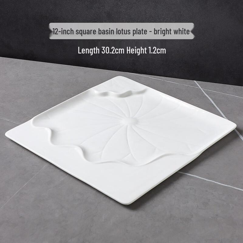 

Ruhan Square Steak Dinner Plate 12 inch