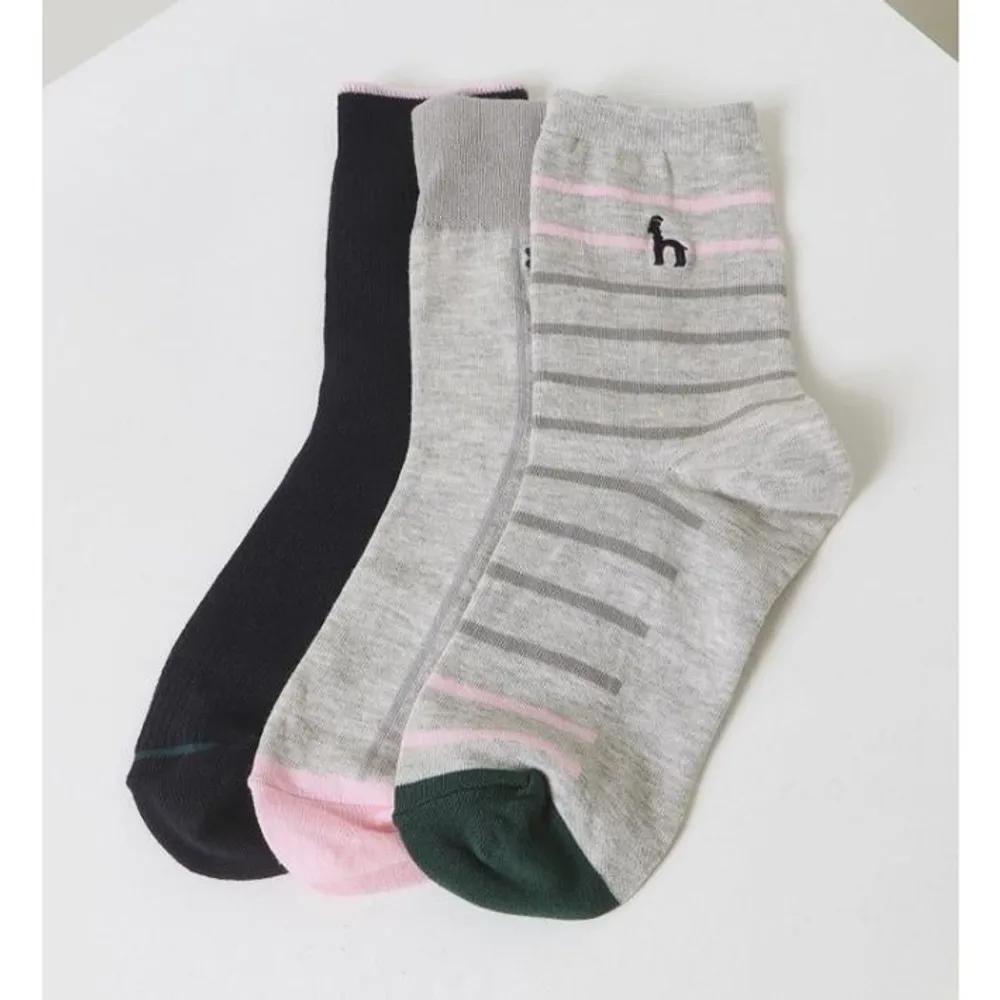 Gray Puppy Embroidery Cotton Blend Mid-calf Socks 3-Piece Set HISS3E300G2