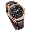 Citizen Eco-Drive Series Solar Powered Watch Men watches Gold BU2023-12E