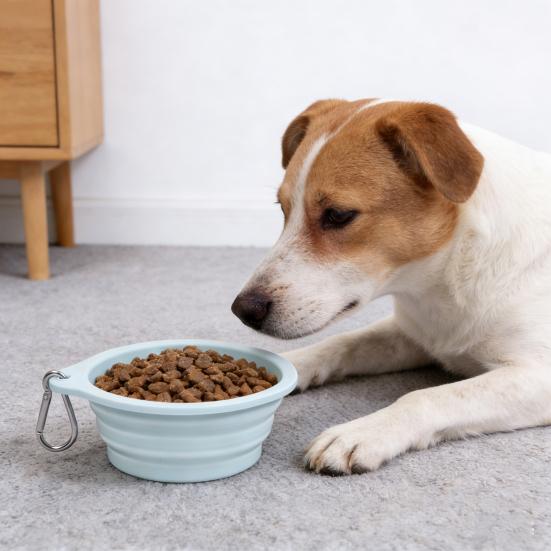 Faltbare Haustiernapf Silikon Zusammenklappbarer Hundenapf Futter-Wassernapf Tragbarer Haustiernapf mit Karabiner für Hunde und Katzen Outdoor-Spaziergänge Camping