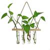 4 Glass Tubes Hanging Vase Flower Planter Tube Decor Plant Decoration