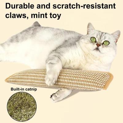Tappetino Graffiatoio per Gatti Giocattolo per Gatti Cuscino Graffiatoio in Sisal Riempito con Erba Gattaia Lima per Unghie Sicura per Gatti da Interno Allenamento Gattini Intrattenimento Salute
