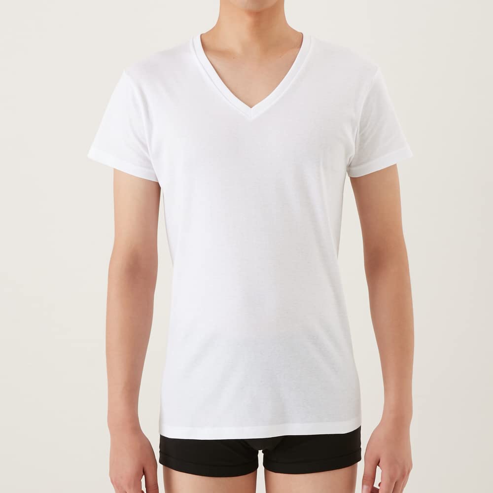 [GUNZE] Inner Shirt the GUNZE STANDARD V-neck T-shirt 2-pack Men's White_New Japan L (equivalent To Japanese Size L)