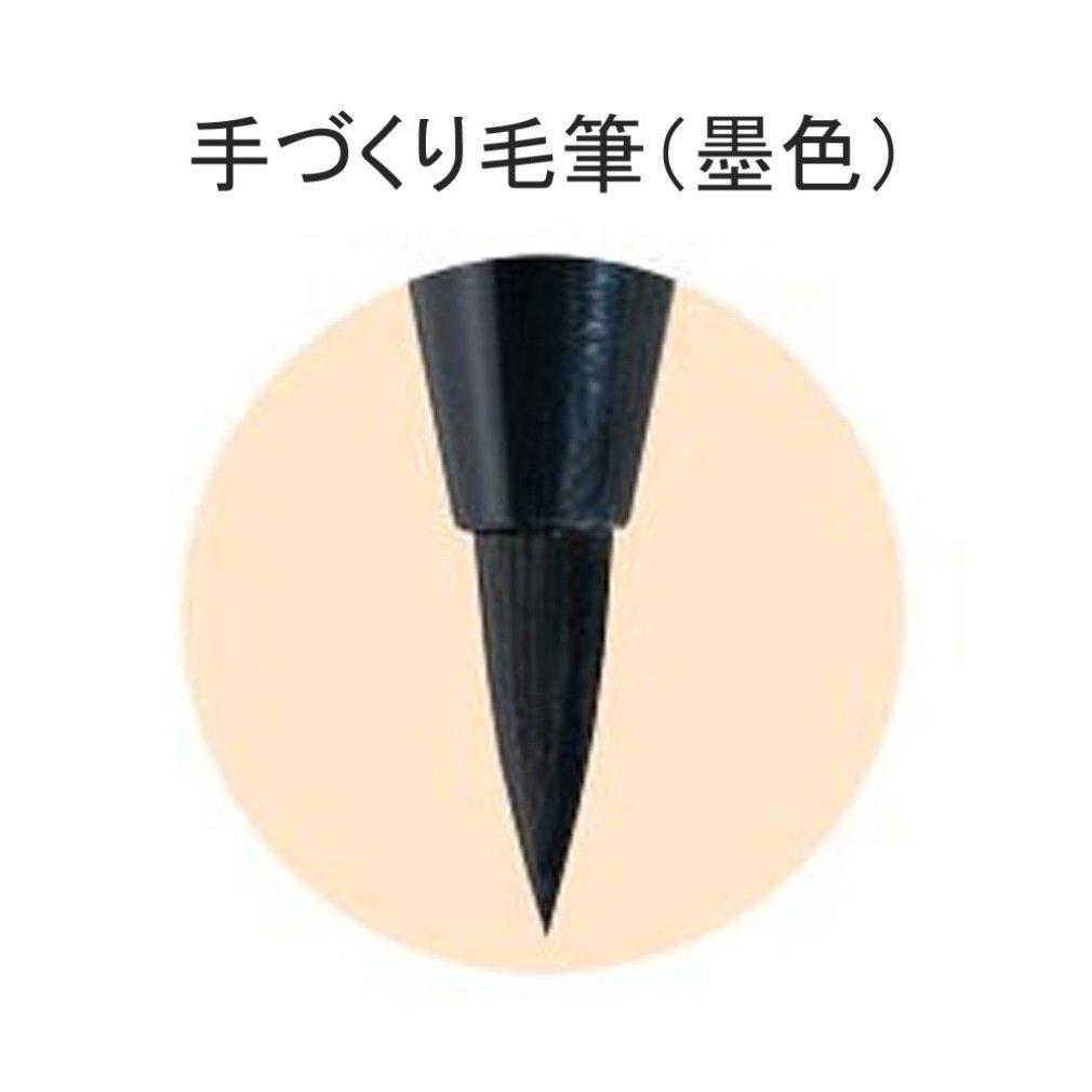 Akashiya Brush New Set of Pen, Brush, Black, 5, SA-300