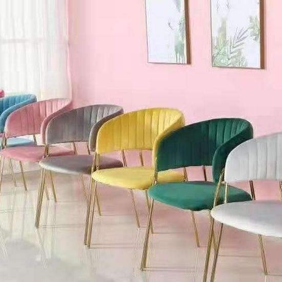 Nordic Light Luxury Modern Dining & Makeup Chair - Balcony, Milk Tea Shop, Nail Art, Simple Backrest Chair
