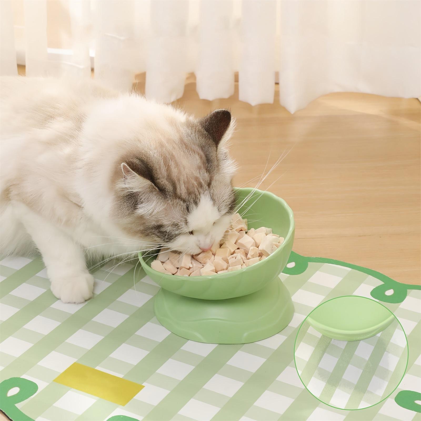 

Raised Food Bowls - Cute Vomiting Pet Food Feeder - Puppy Feeding Dishes for Food and Water, 15 Degree Tilted s Spine Modgal One Size