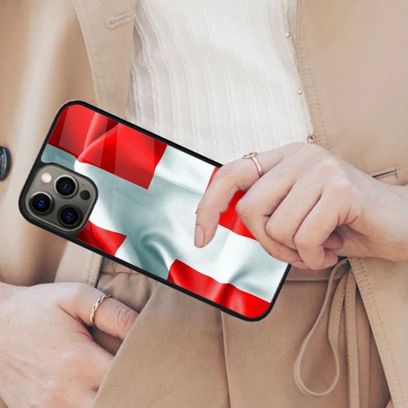 Denmark Flag Phone Magnetic Phone Case For APPLE iPhone 17 Air 16 14 13 12 Pro Max 15 Plus Wireless Charge With MagSafe Cover