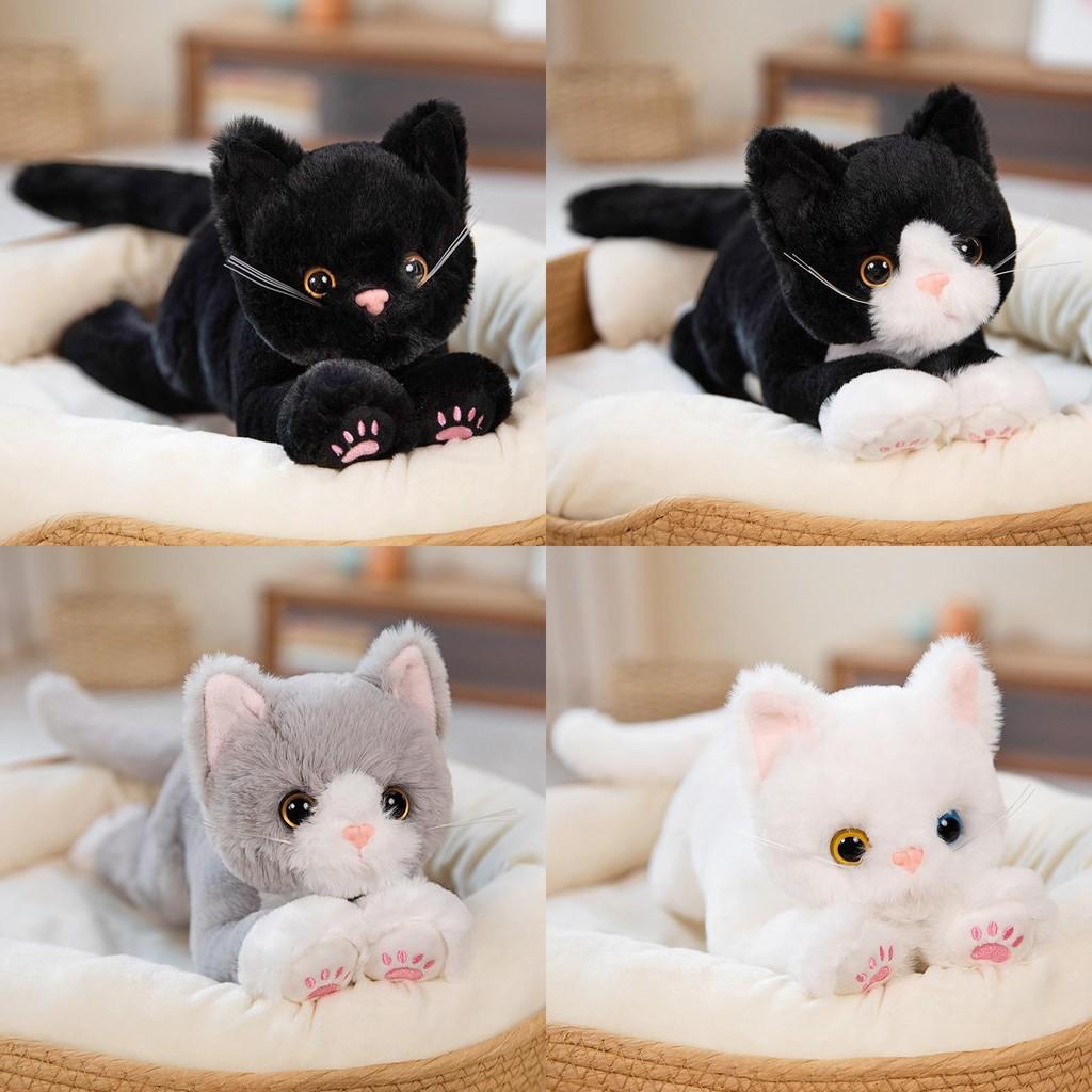 Plush Doll Cat Orange Cat Cloth Doll Cute Little Cat Healing Children Gift