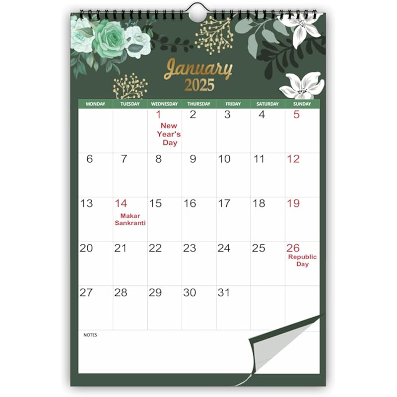 AccuPrints Colored 2025 Wall Hanging Calendar and Planner (12 X 18 Inches) Paper -130 Gsm