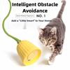 Gatos – Brinquedos para gatos