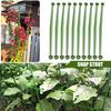 10 Pezzi Connettori per Grigliato per Piante Flessibili Robusti Resistenti alla Ruggine Supporto Asta di Collegamento in Plastica Espandibile Gabbia per Pomodori Verdure da Giardino Palo Braccio Giardino