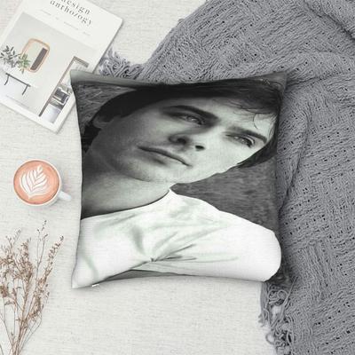 Home Decorations Damon Salvatore Pillowcases Accessories  Pillow Cover Square Multiple Sizes