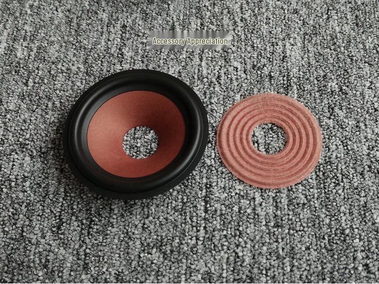 4-Inch Full-Range Speaker - Audiophile Quality for Vocals & Instruments - Excellent High, Mid, Low Frequencies | Ruifan Acoustics