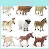 Donkey Pvc Model With Realistic Farm Figures For Educational Display And Collection