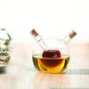 2 In 1 Glass Bottle For Oil And Vinegar 480 Ml