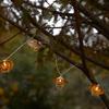 Mobigarden Outdoor Camping Lantern