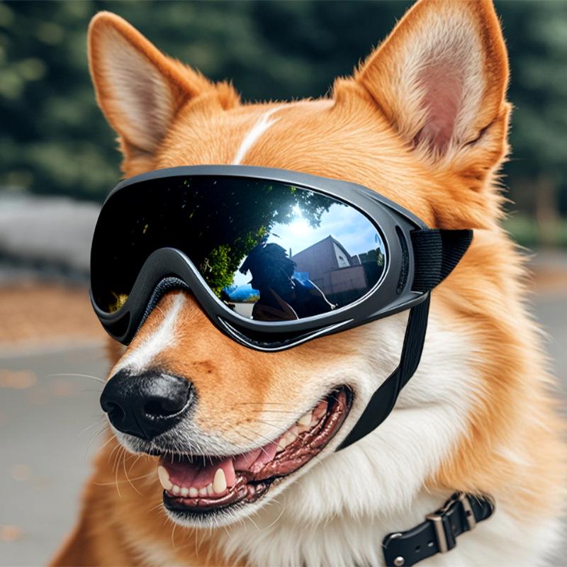 Medium & Large Dog Goggles: Windproof Pet Sunglasses & Headwear - In Stock