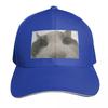 Cat looking inside box meme Baseball Cap party Hat Unique hats Sports Cap fun hats Hats Women Unisexs
