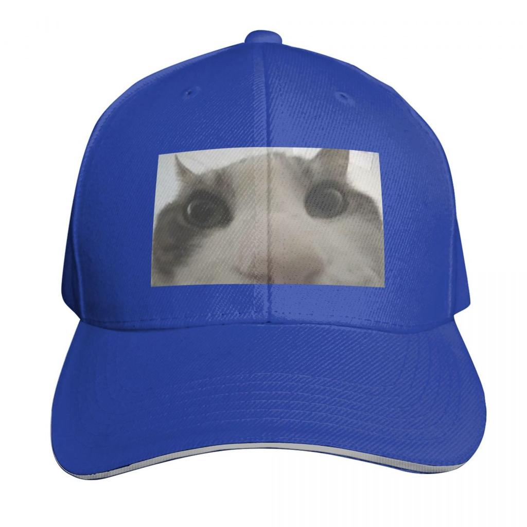 Cat looking inside box meme Baseball Cap party Hat Unique hats Sports Cap fun hats Hats Women Unisexs