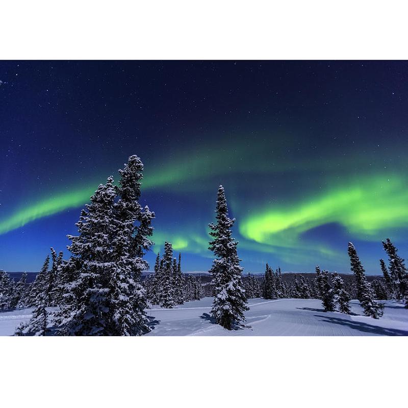 Winter Snow 5D Diamond Painting Scenery DIY Rhinestone Full Round Drill Landscape Diamond Embroidery Cross Stitch Home Decor