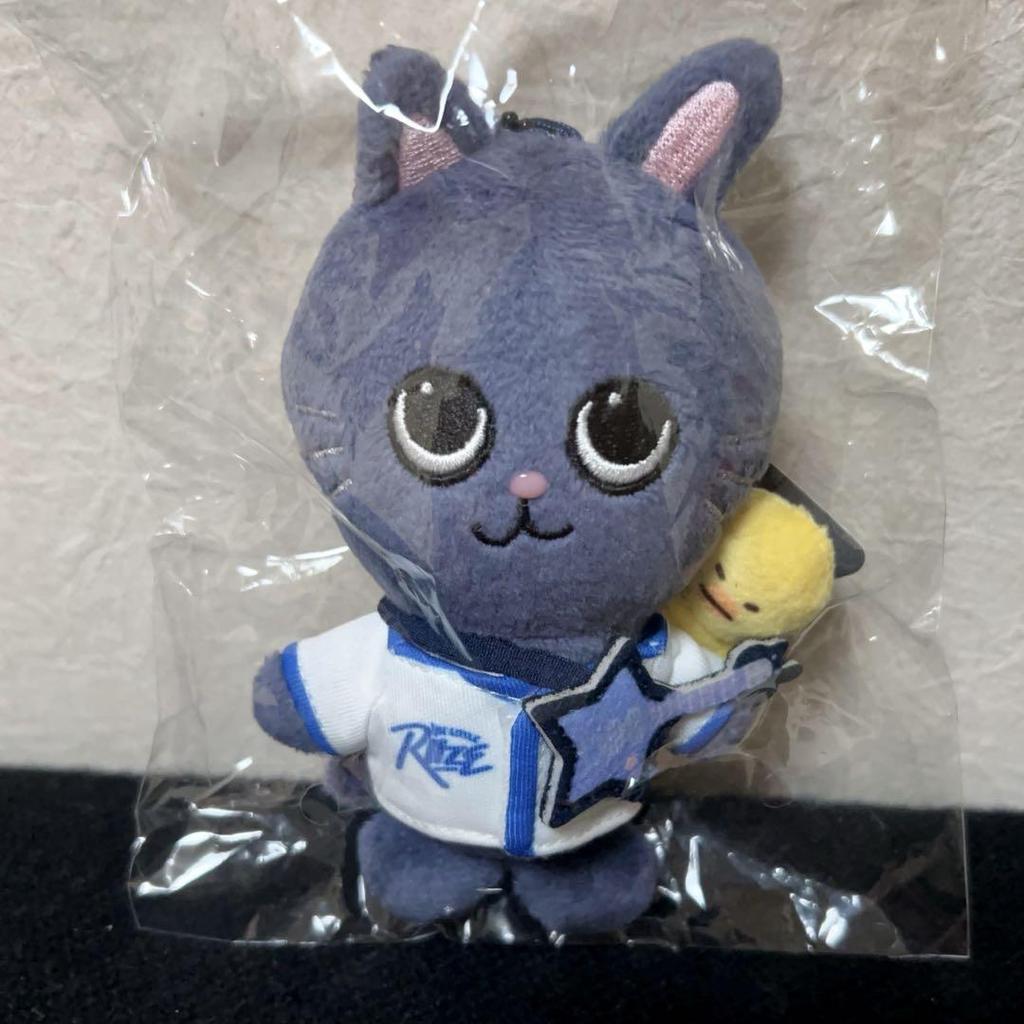 [USED] Riize Park Pop-up Plush Toy 10cm Won Bin and Donnyang Deok