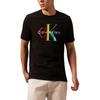 Rainbow Series Gradient Letter Print Simple Round Neck Short Sleeve T-Shirt Men Tops Space-Black 40BM828-BAE