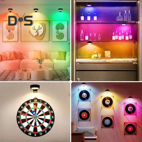 Picture Light with Remote Control 100 Lumens High Brightness Stepless Dimming 3 Lighting Modes Battery Operated No Drill Wall Art Light