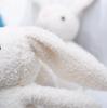 First Toy Rabbit Plush Animal Cushion Pillow Cushion, Cute for Photography, Kids, Children, Gift, Birthday, Newborn, Baby Shower, Baby Photo,