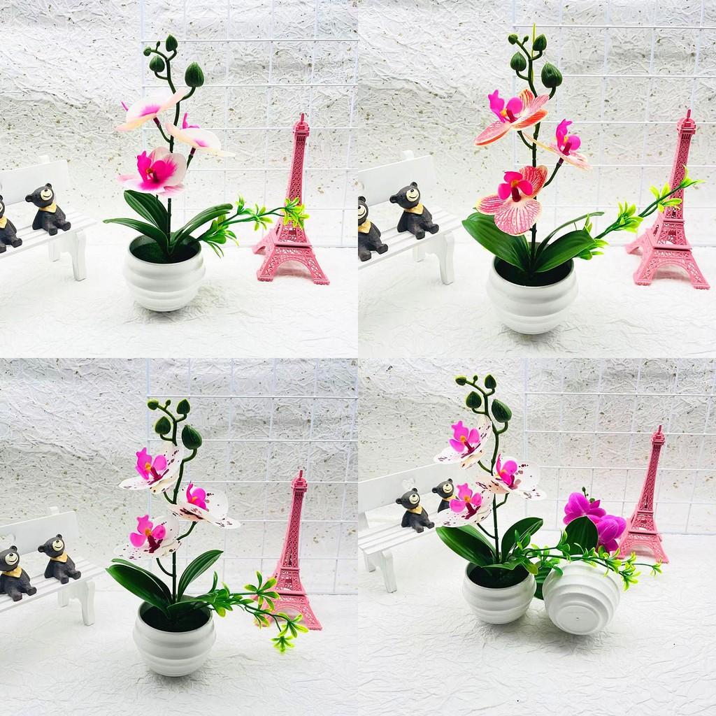 Plastic Orchid Bonsai Ornament With Injection Molded Finish For Living Space And Gift Ideas