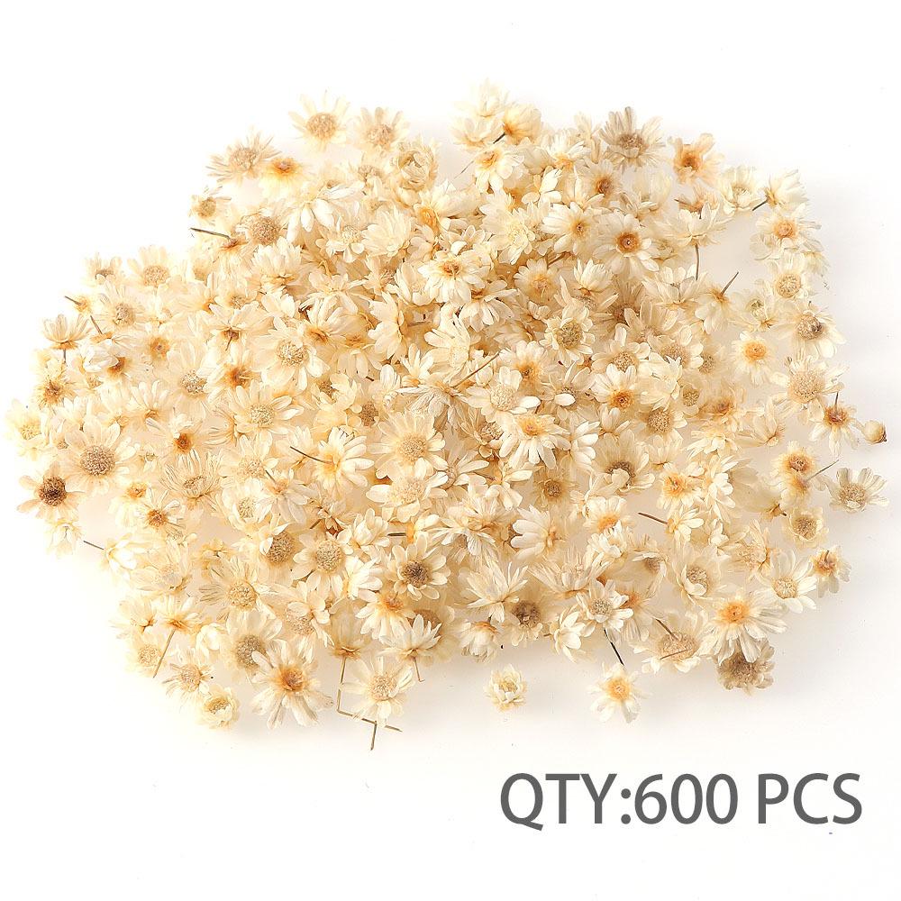 Natural Star Flower DIY Wreath Filler for Wedding Decorations