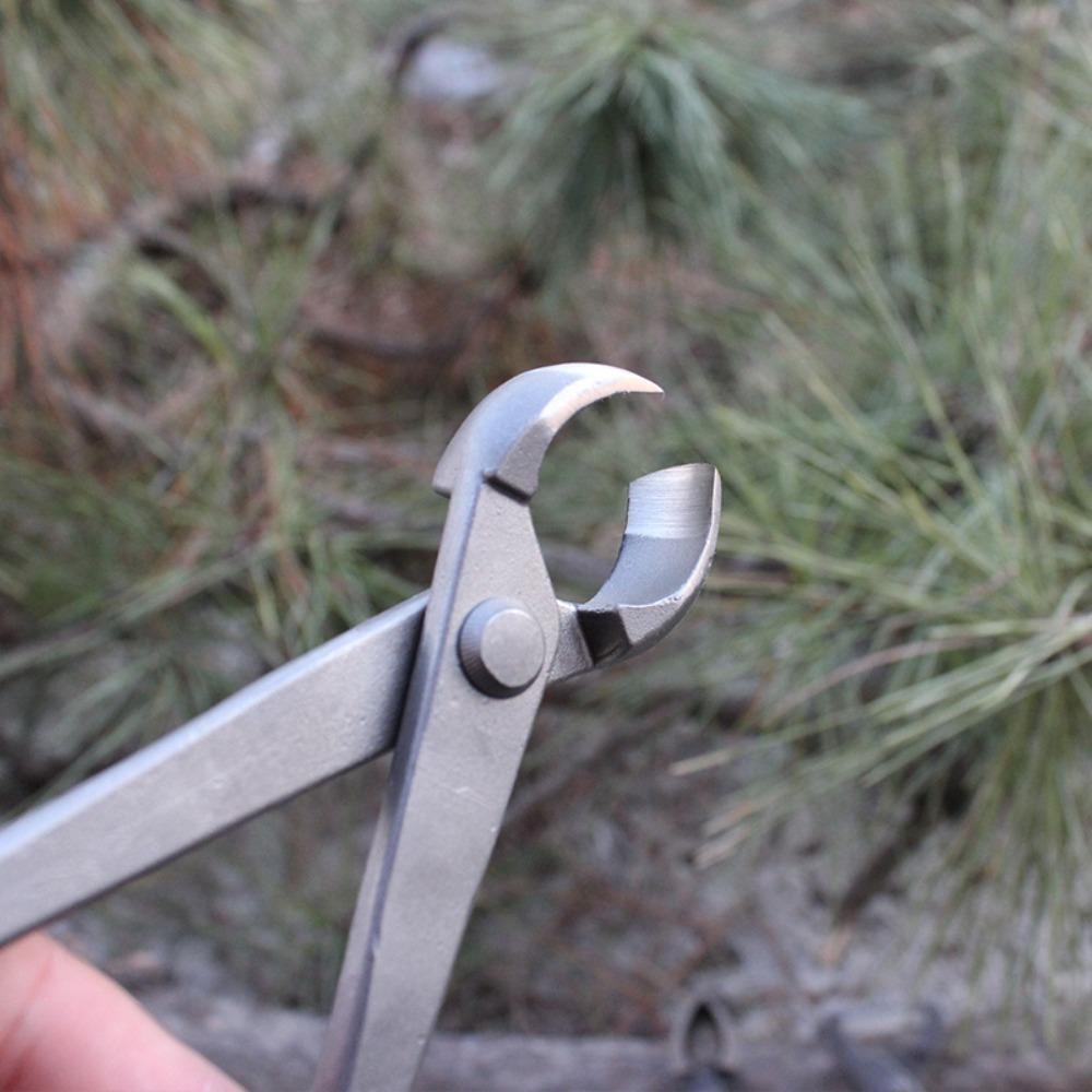 

Секатор Садовый Секатор для Бонсай Садовые Ножницы с Вогнутым Лезвием Садовые Инструменты для Бонсай Ball Joint Pliers