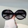 Oversized Round Sunglasses  Fashion Gradient Multicolor Outdoor Shades Trendy Brand Design Beach Holiday Sun Glasses