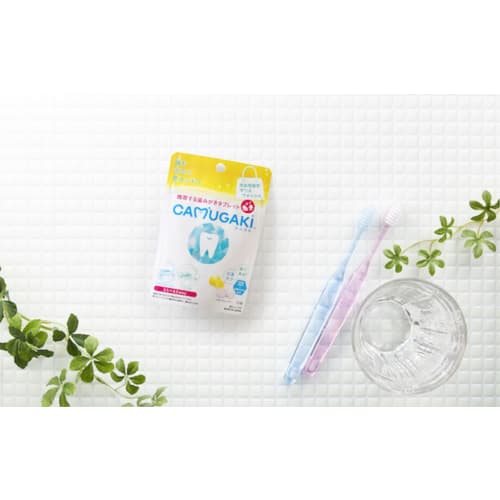 CAMUGAKI Toothpaste Tablets, 20 Tablets, Lemon Mint Powder